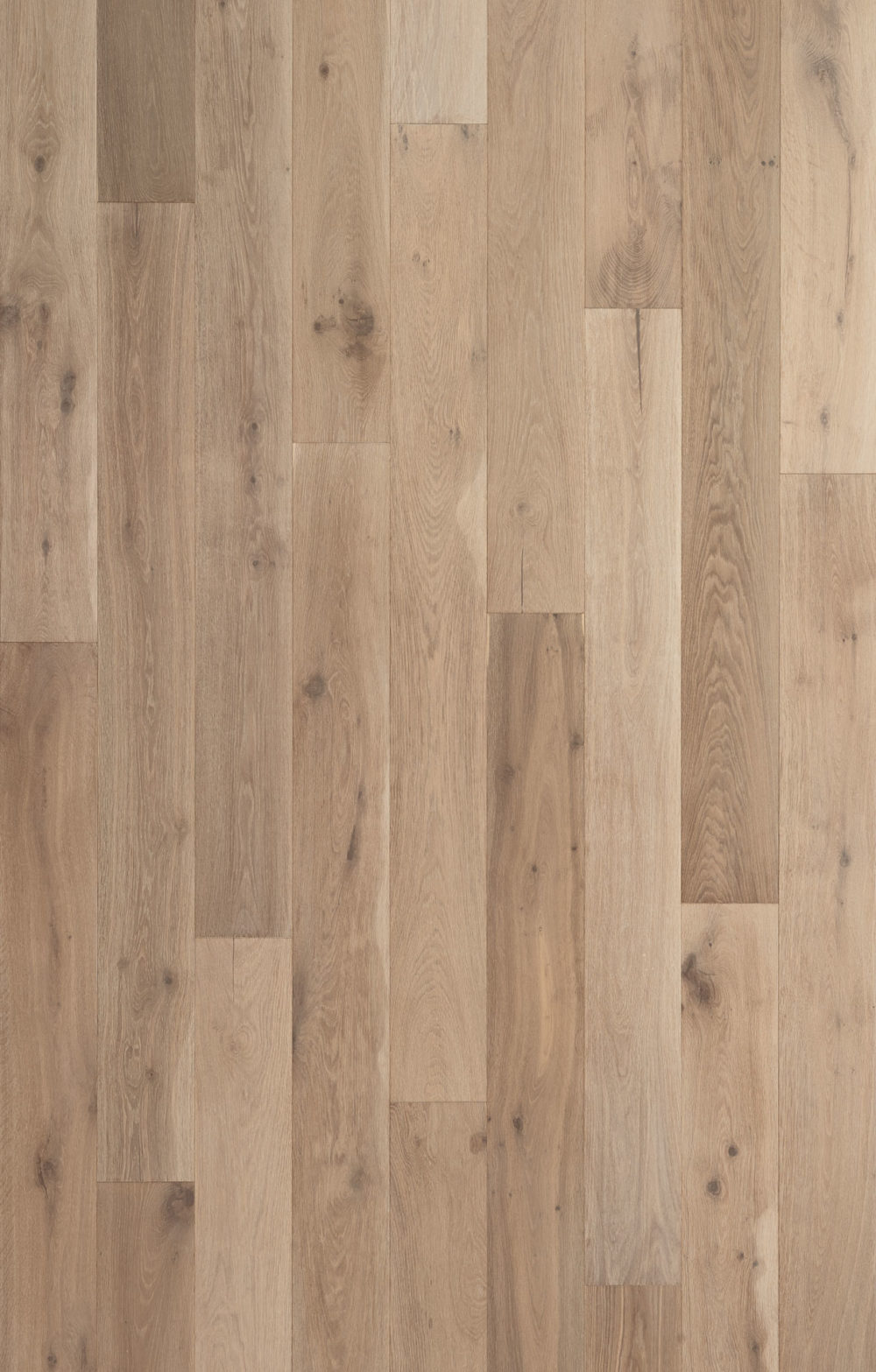 Seacliff Estate Kent Engineered Hardwood Swatch